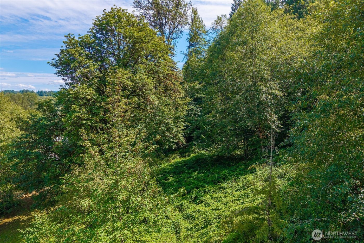 18201 Renton Maple Valley Road SE, Maple Valley, WA 98038