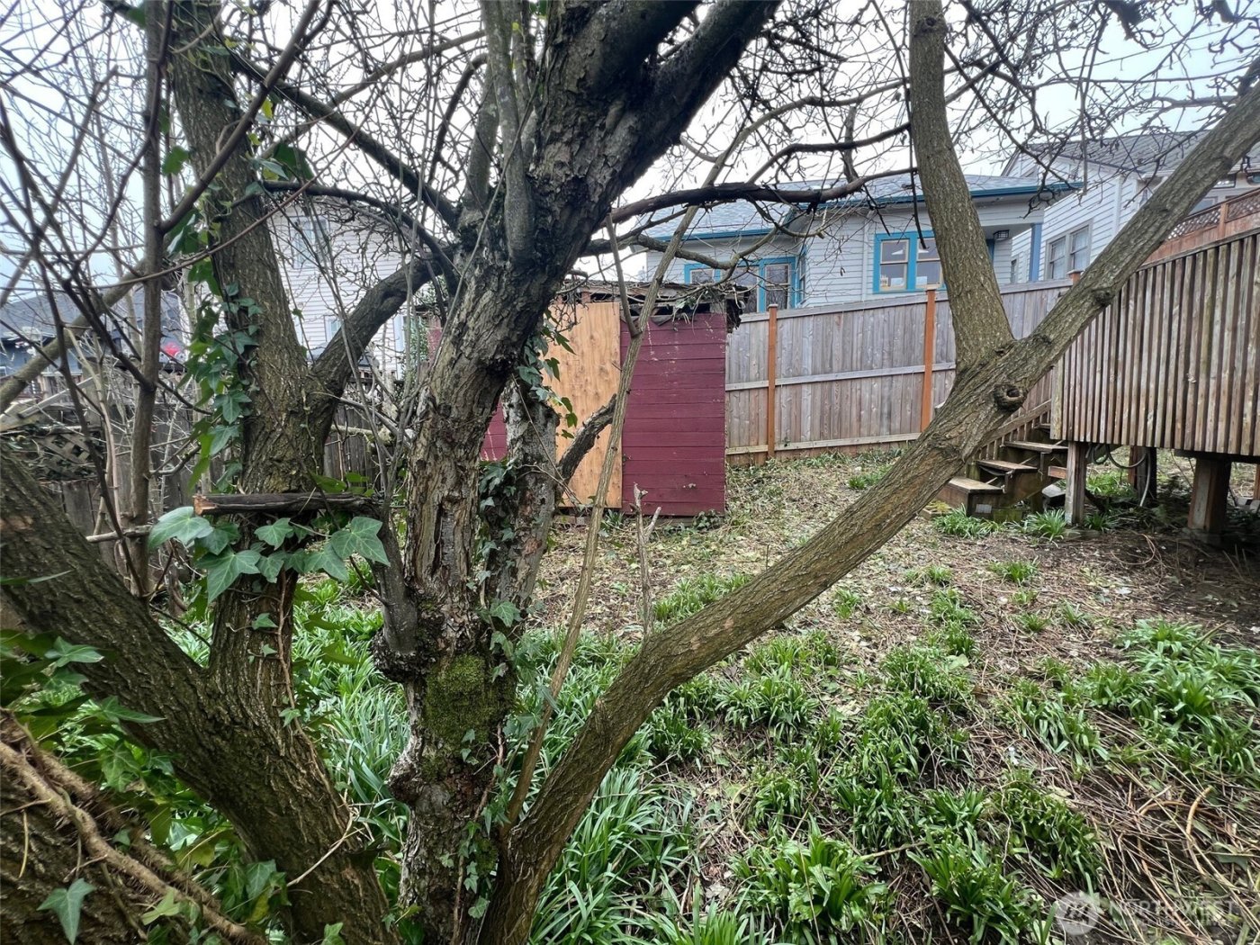 1111 NE 80th Street , Seattle, WA 98115