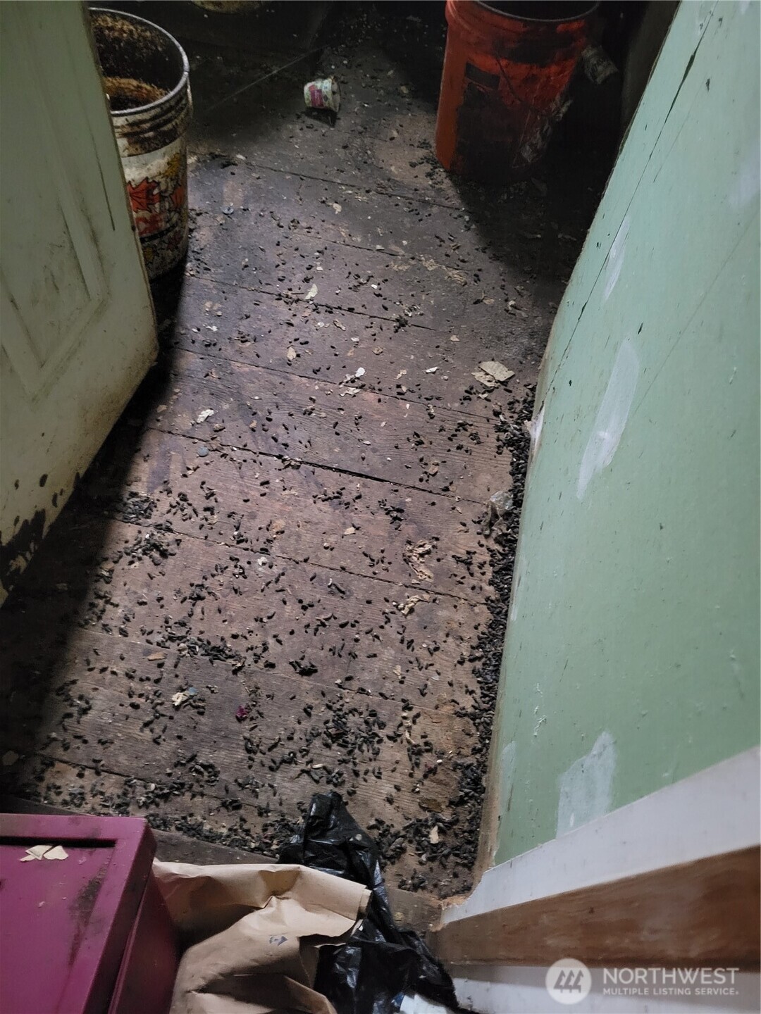 1111 NE 80th Street , Seattle, WA 98115