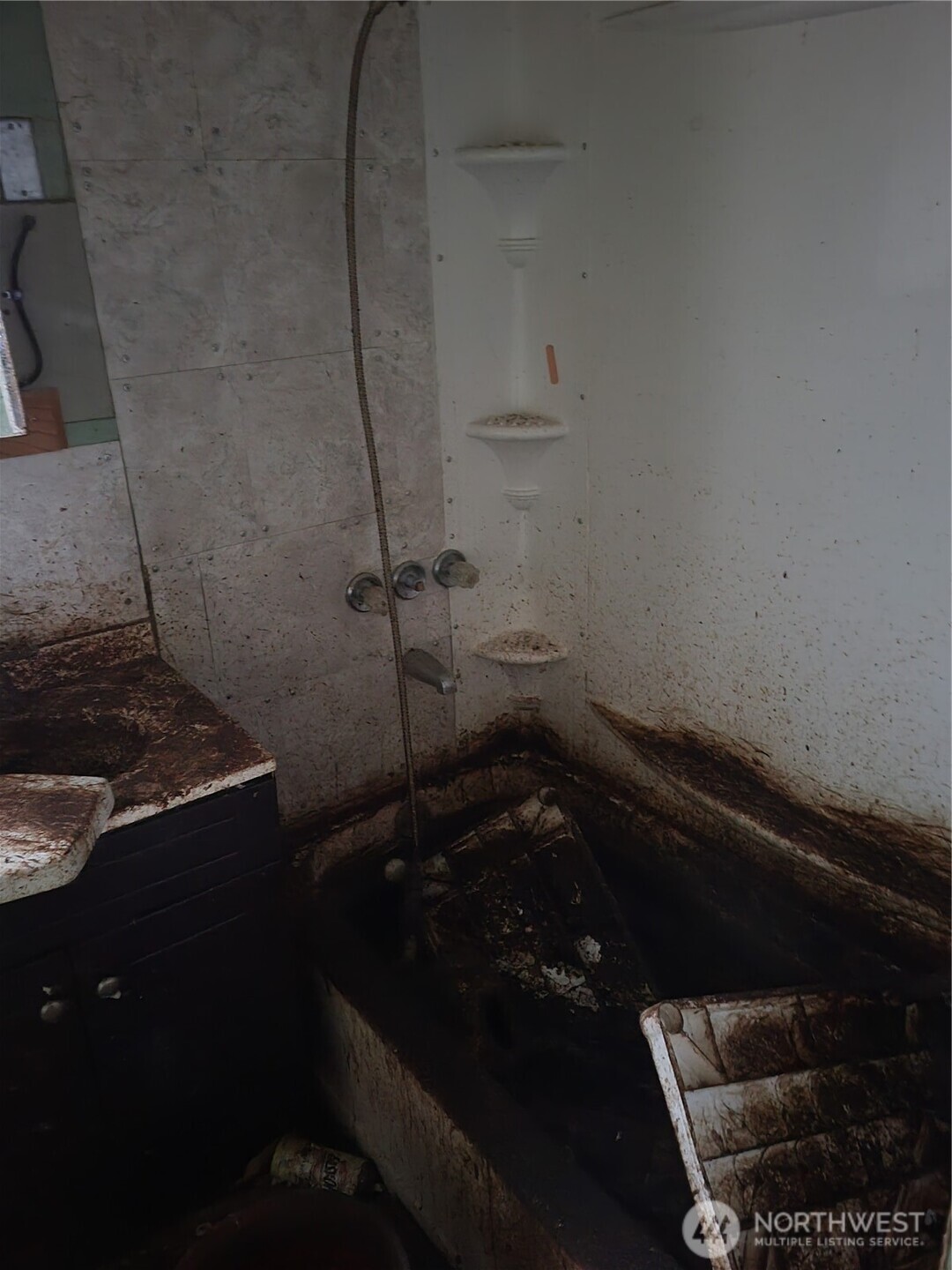 1111 NE 80th Street , Seattle, WA 98115