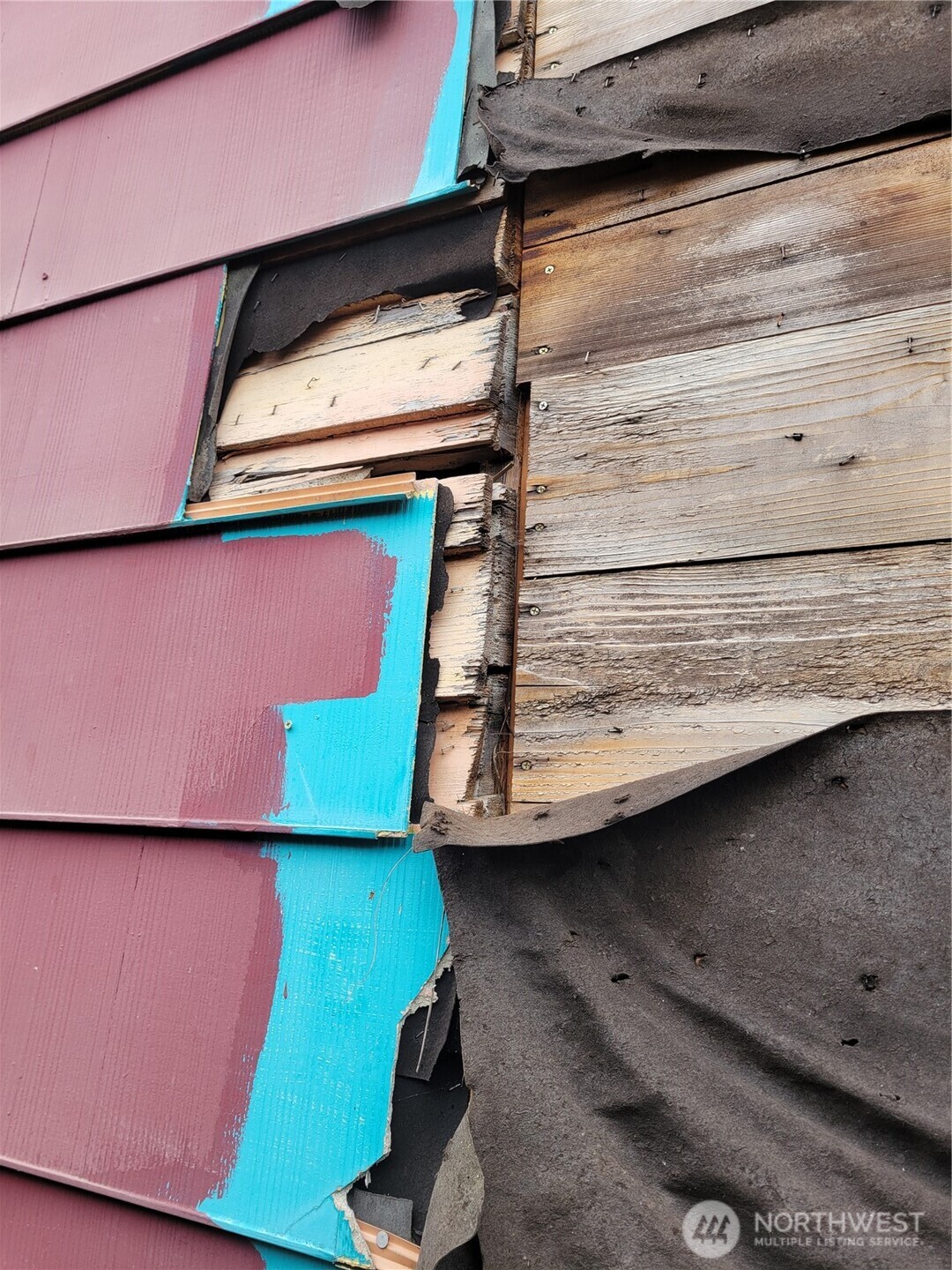 1111 NE 80th Street , Seattle, WA 98115