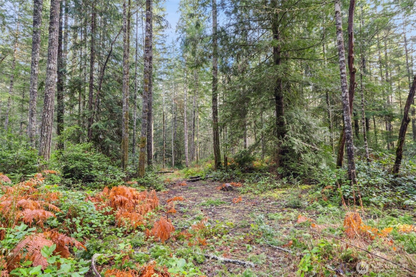 15706 71st Street NW, Lakebay, WA 98349