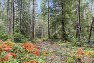 15706 71st Street NW, Lakebay, WA 98349 - Photo 28