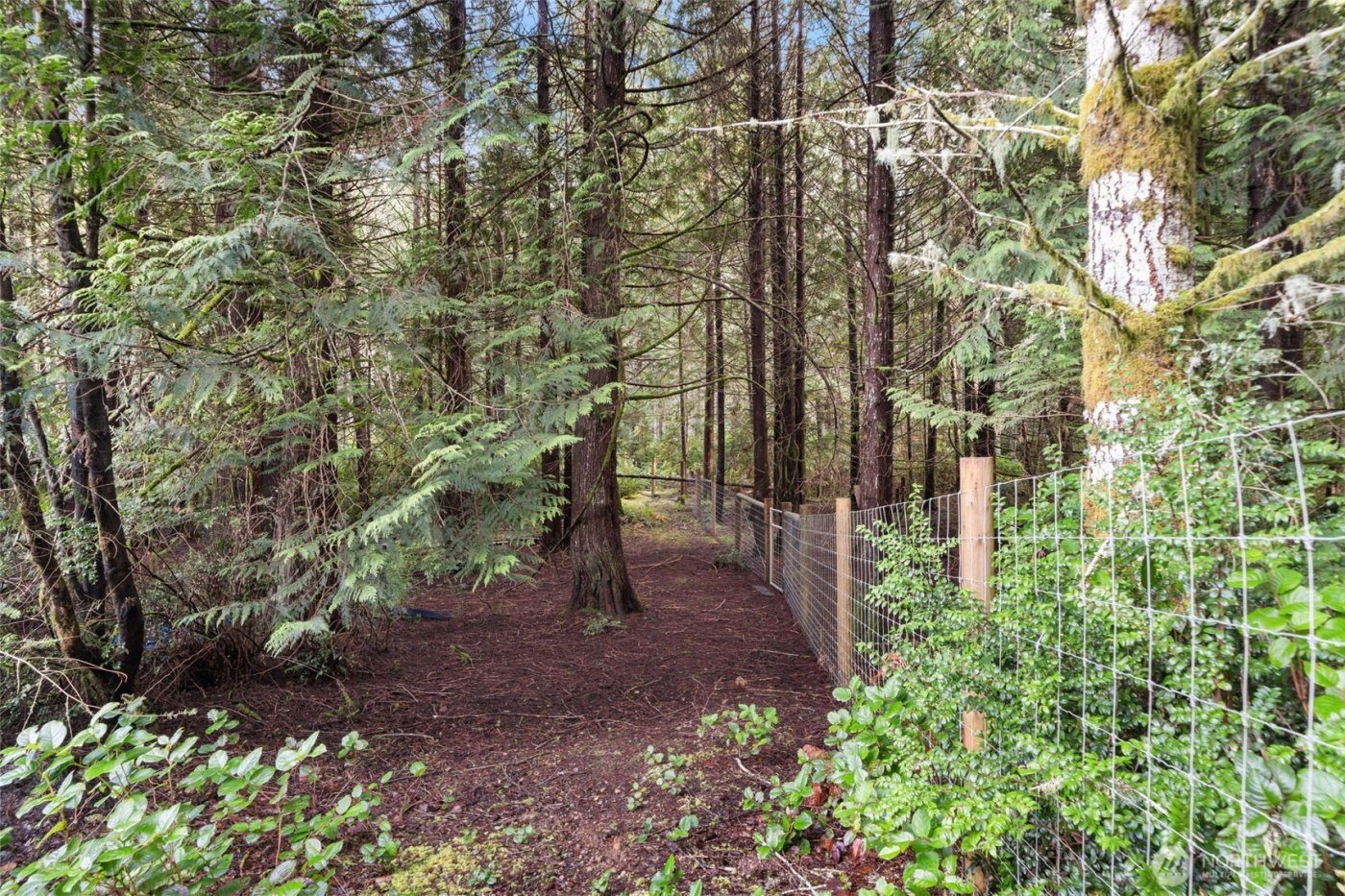 15706 71st Street NW, Lakebay, WA 98349