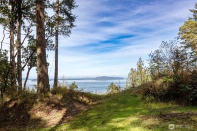 87 Conifer Lane , Friday Harbor, WA 98250-6941