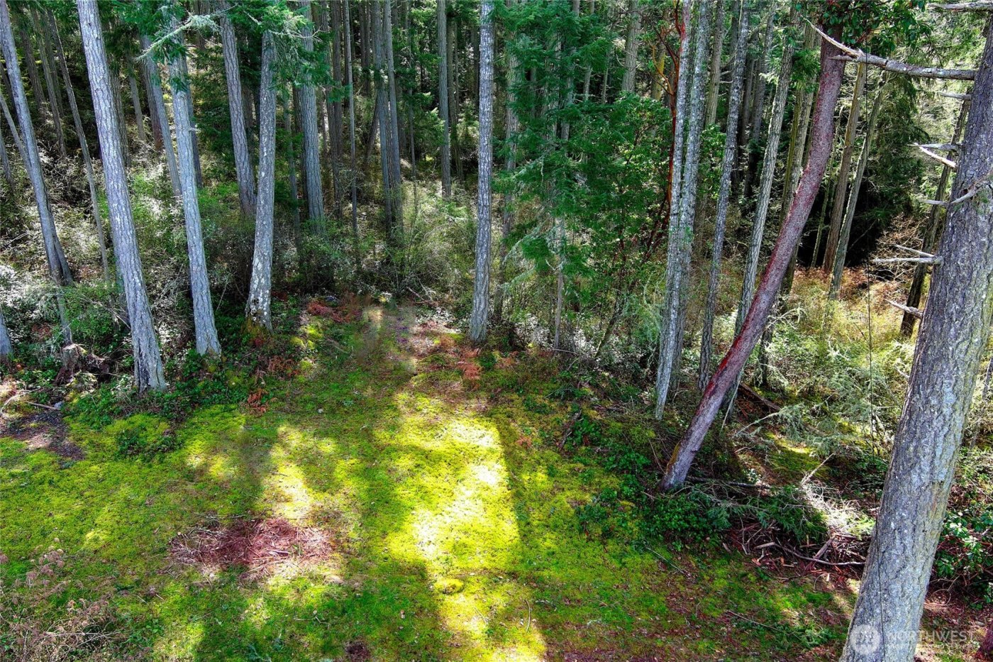 87 Conifer Lane , Friday Harbor, WA 98250-6941