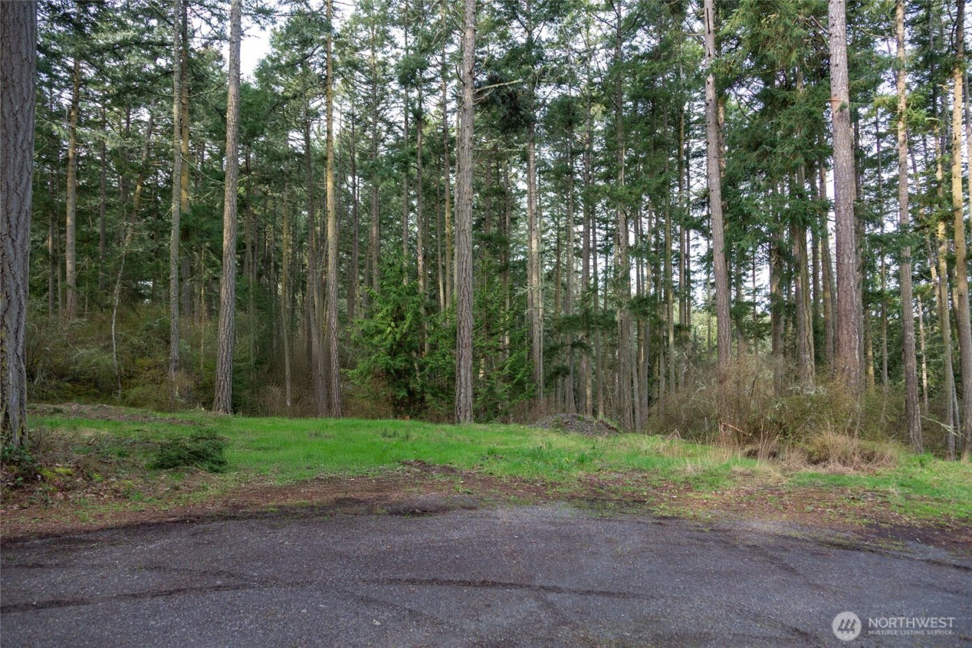 87 Conifer Lane , Friday Harbor, WA 98250-6941