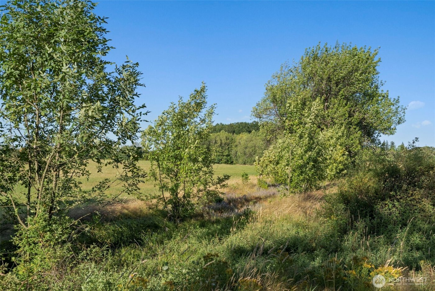 0 Rakoz Road , Toledo, WA 98591