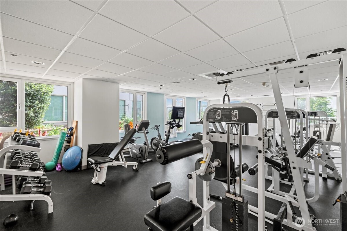 121 Vine Street #1404, Seattle, WA 98121