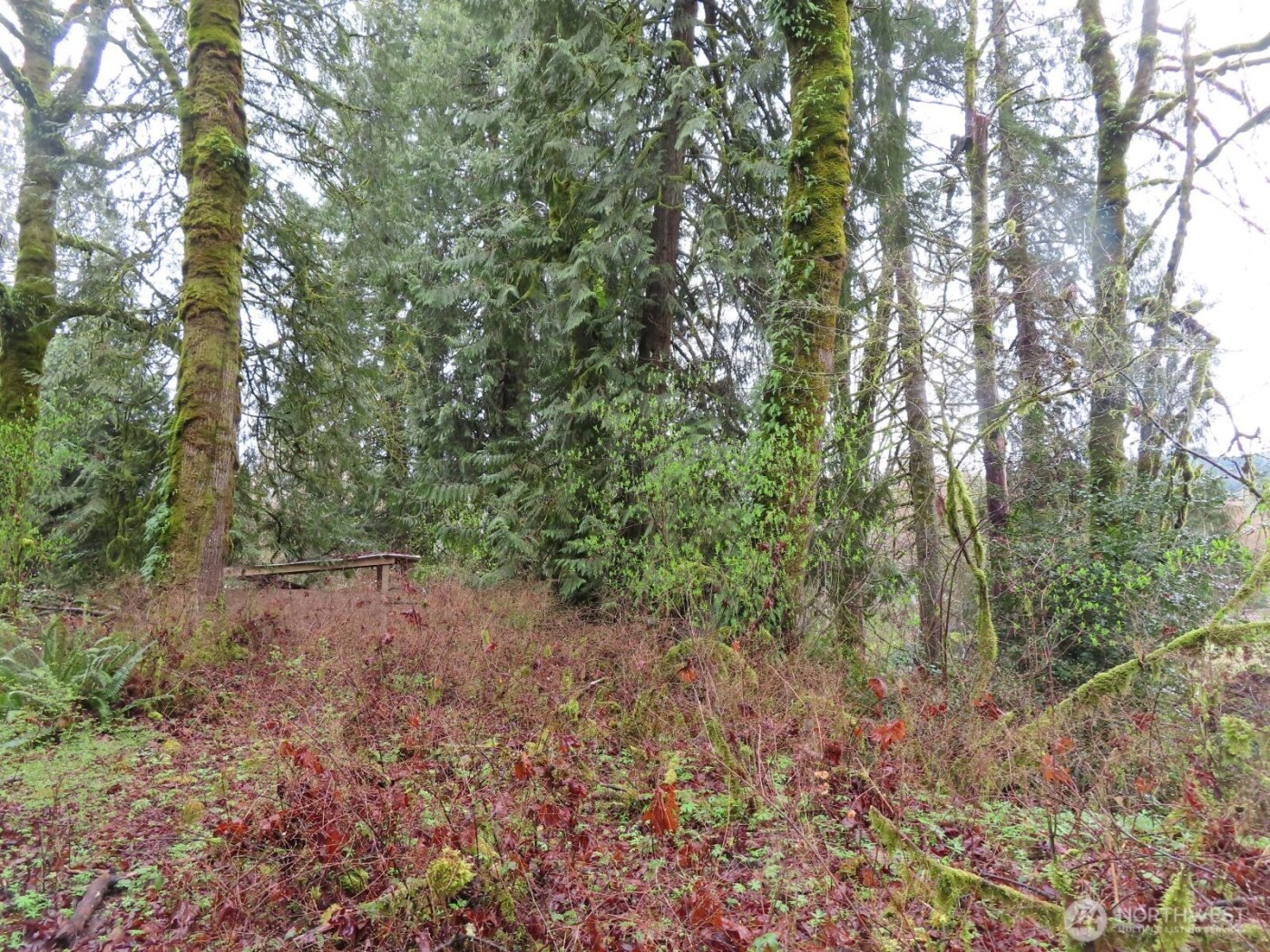 235 Anchor Road , Castle Rock, WA 98611