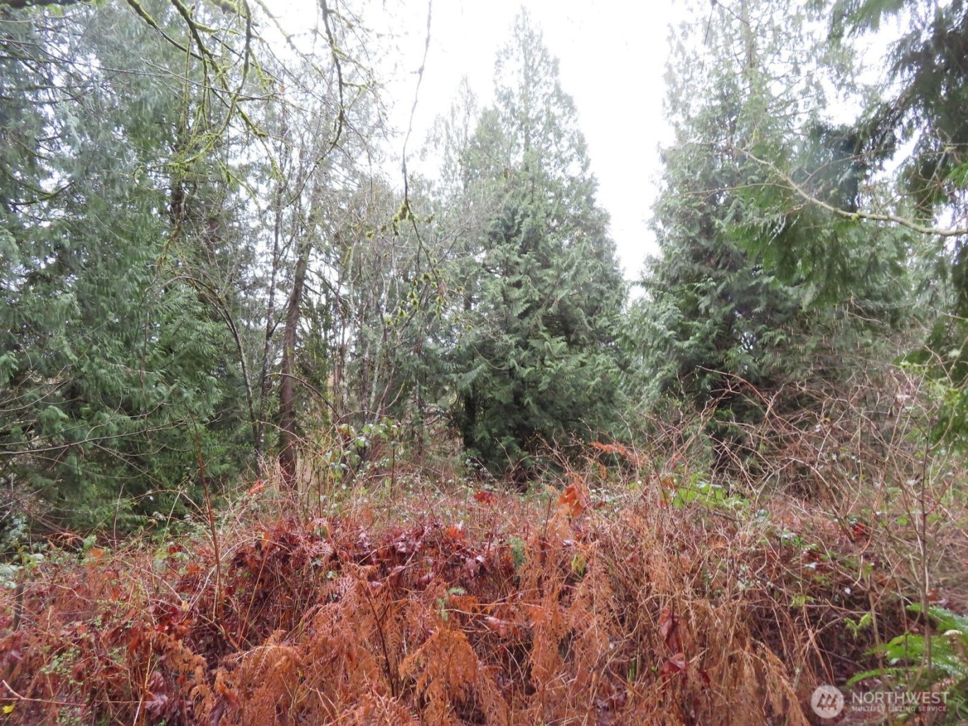 235 Anchor Road , Castle Rock, WA 98611