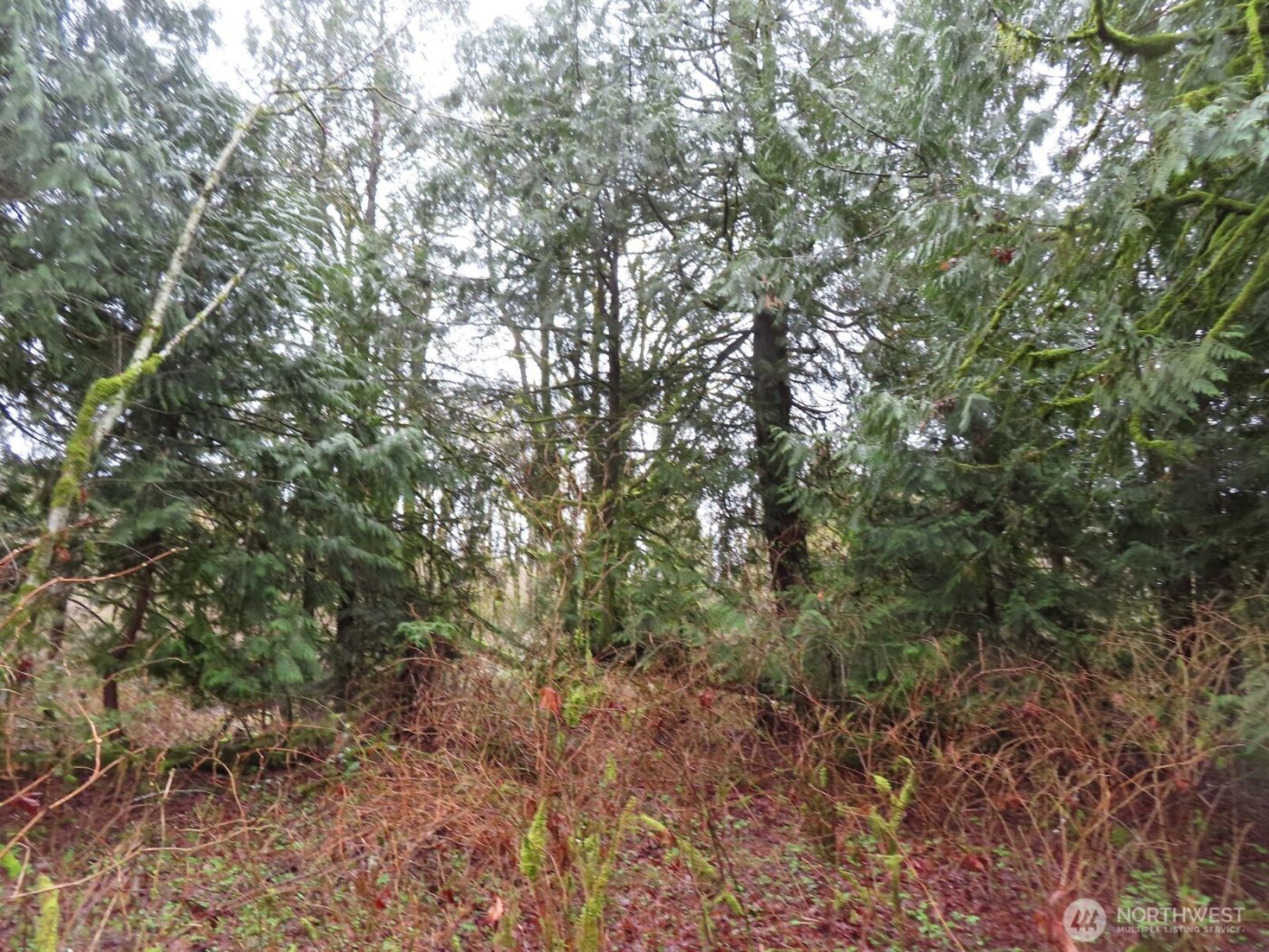 235 Anchor Road , Castle Rock, WA 98611