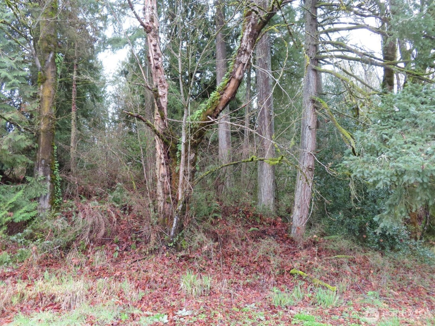 235 Anchor Road , Castle Rock, WA 98611