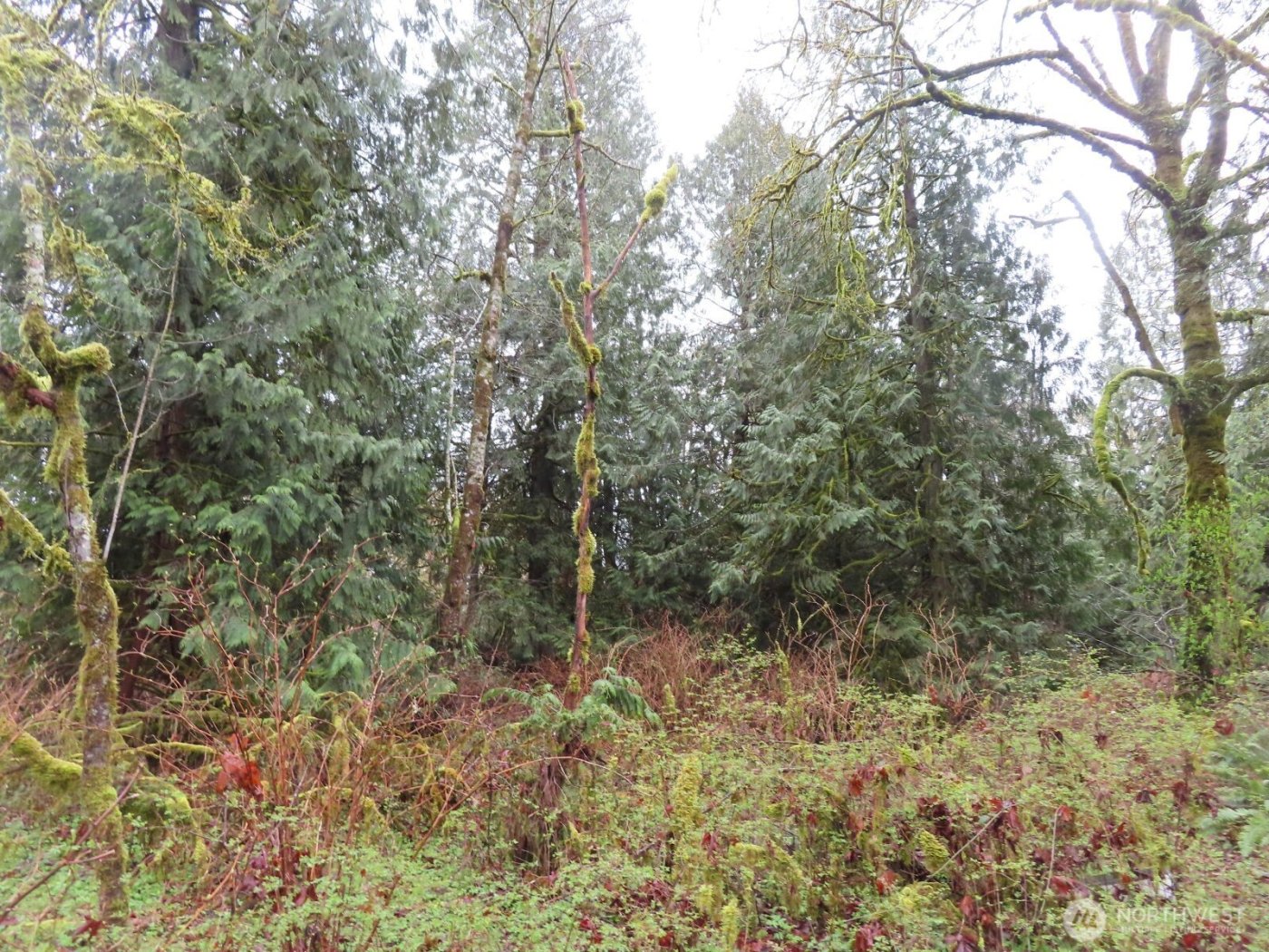 235 Anchor Road , Castle Rock, WA 98611