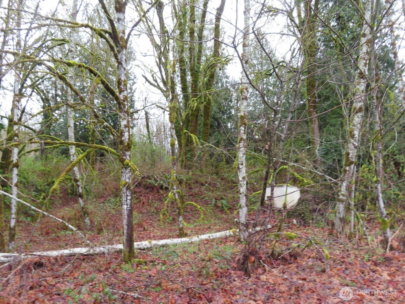 235 Anchor Road , Castle Rock, WA 98611