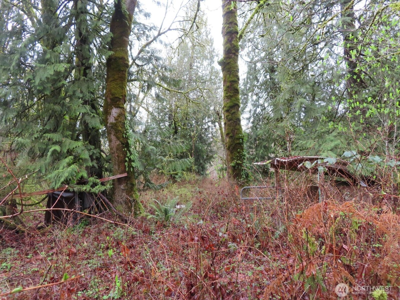 235 Anchor Road , Castle Rock, WA 98611