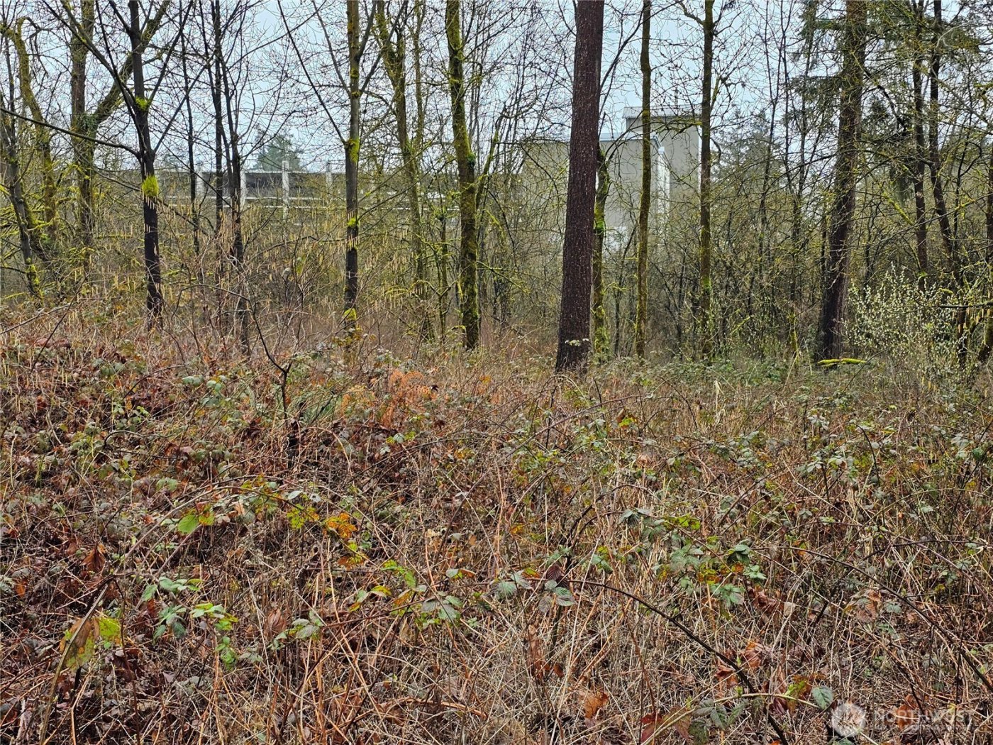 13036 188th Avenue SW #B, Rochester, WA 98579