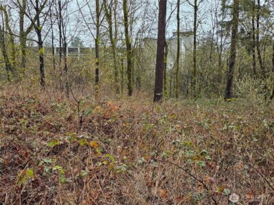 13036 188th Avenue SW #B, Rochester, WA 98579 - Photo 3