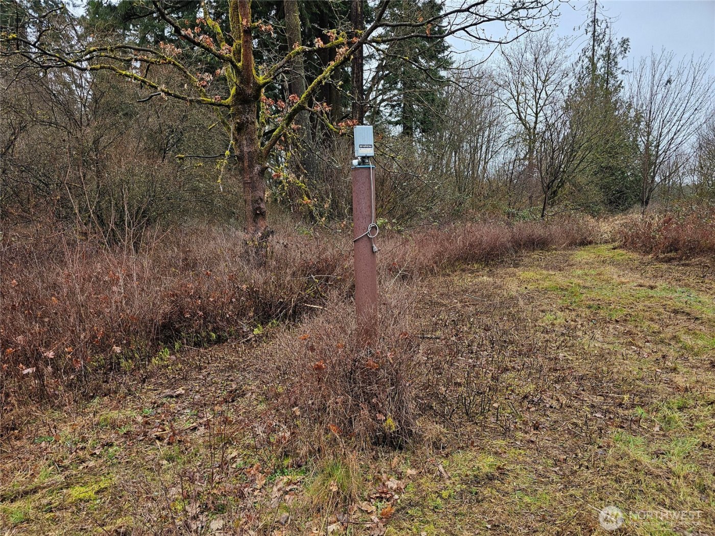 13036 188th Avenue SW #B, Rochester, WA 98579