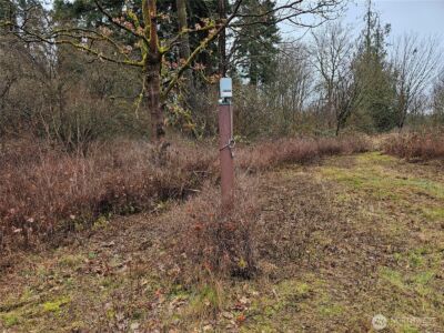 13036 188th Avenue SW #B, Rochester, WA 98579 - Photo 4