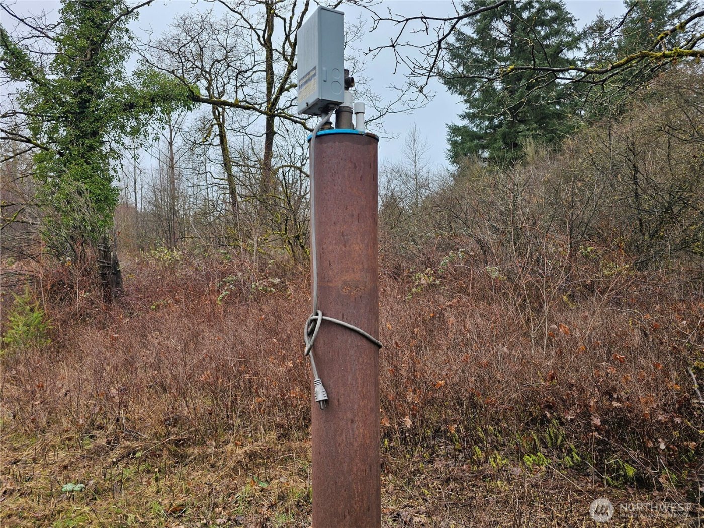 13036 188th Avenue SW #B, Rochester, WA 98579