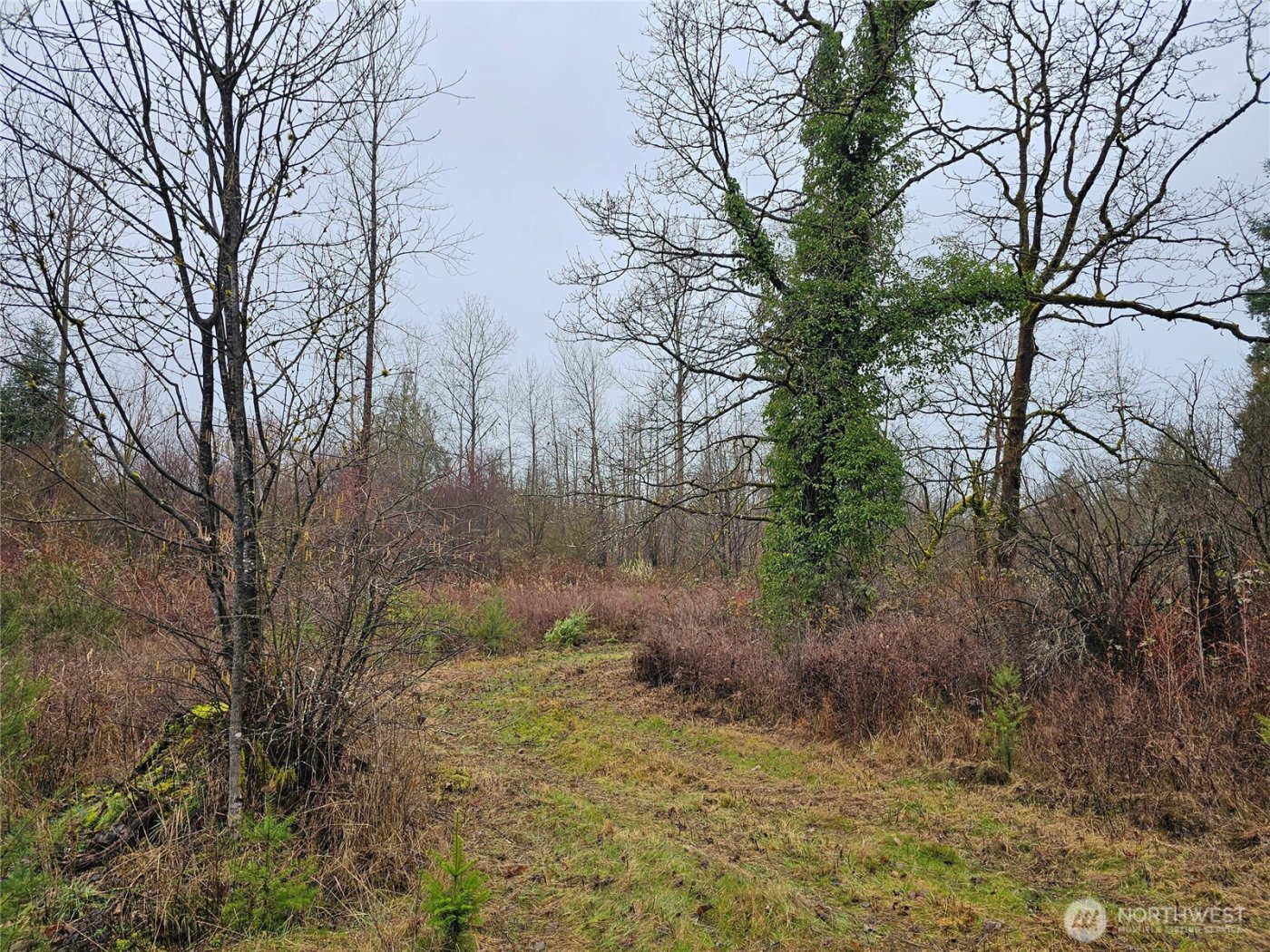 13036 188th Avenue SW #B, Rochester, WA 98579