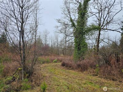 13036 188th Avenue SW #B, Rochester, WA 98579 - Photo 6