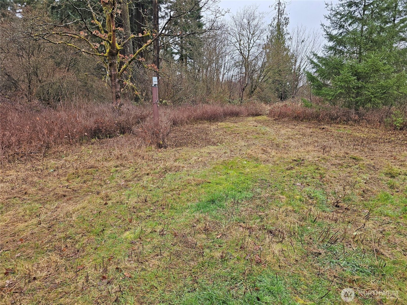 13036 188th Avenue SW #B, Rochester, WA 98579