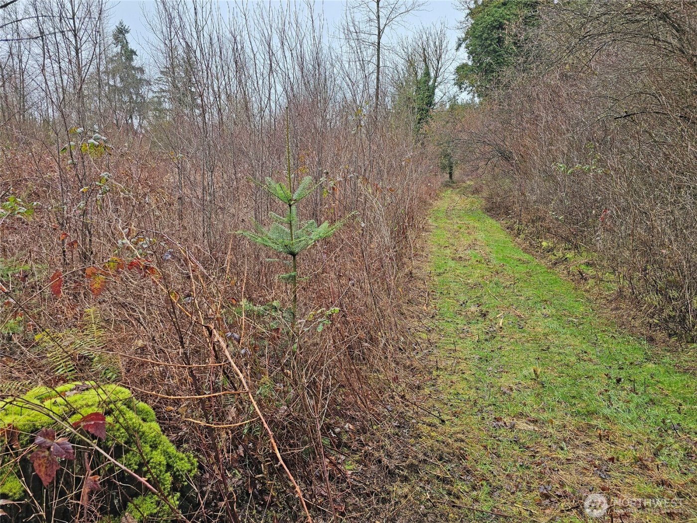 13036 188th Avenue SW #B, Rochester, WA 98579