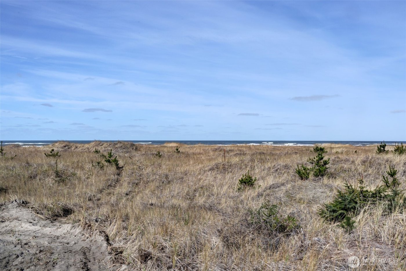 16151 Pacific Way , Long Beach, WA 98631