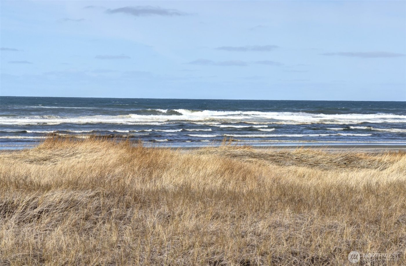 16151 Pacific Way , Long Beach, WA 98631