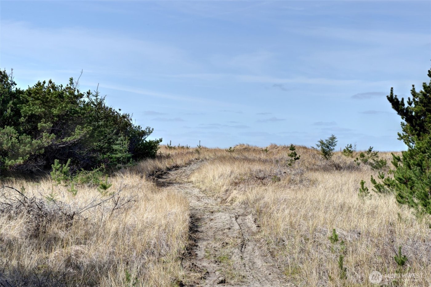 16151 Pacific Way , Long Beach, WA 98631