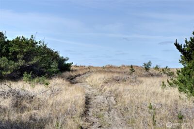 16151 Pacific Way , Long Beach, WA 98631 - Photo 14