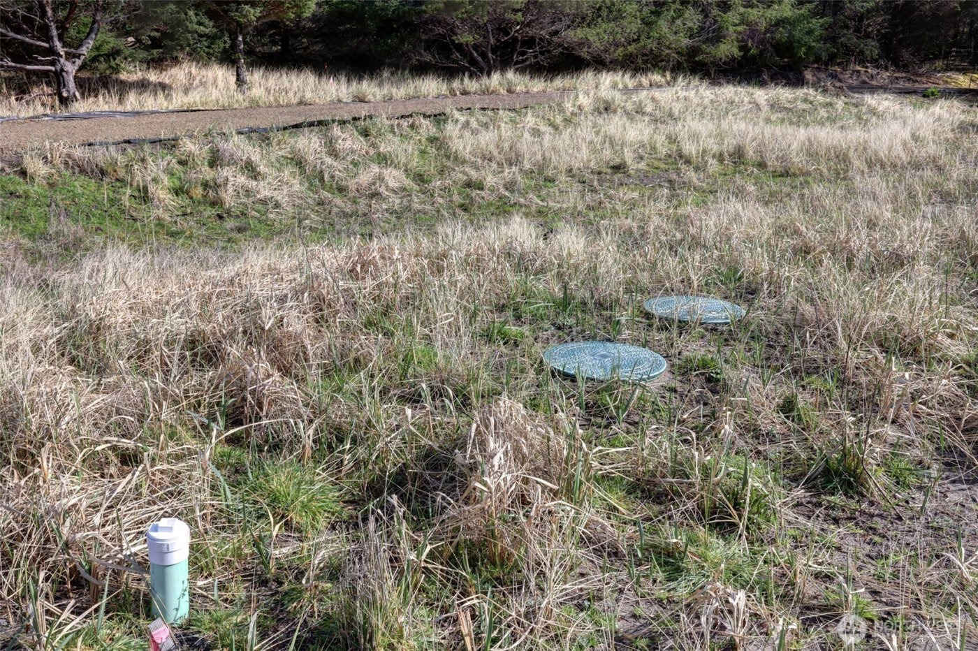 16151 Pacific Way , Long Beach, WA 98631