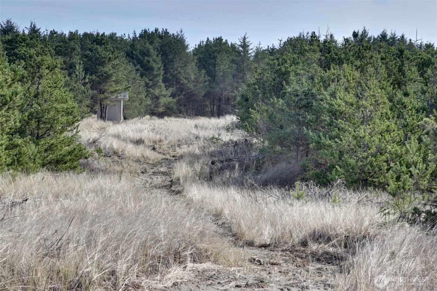 16151 Pacific Way , Long Beach, WA 98631