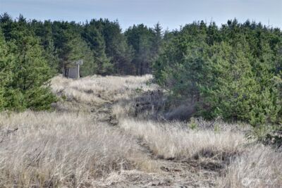 16151 Pacific Way , Long Beach, WA 98631 - Photo 8