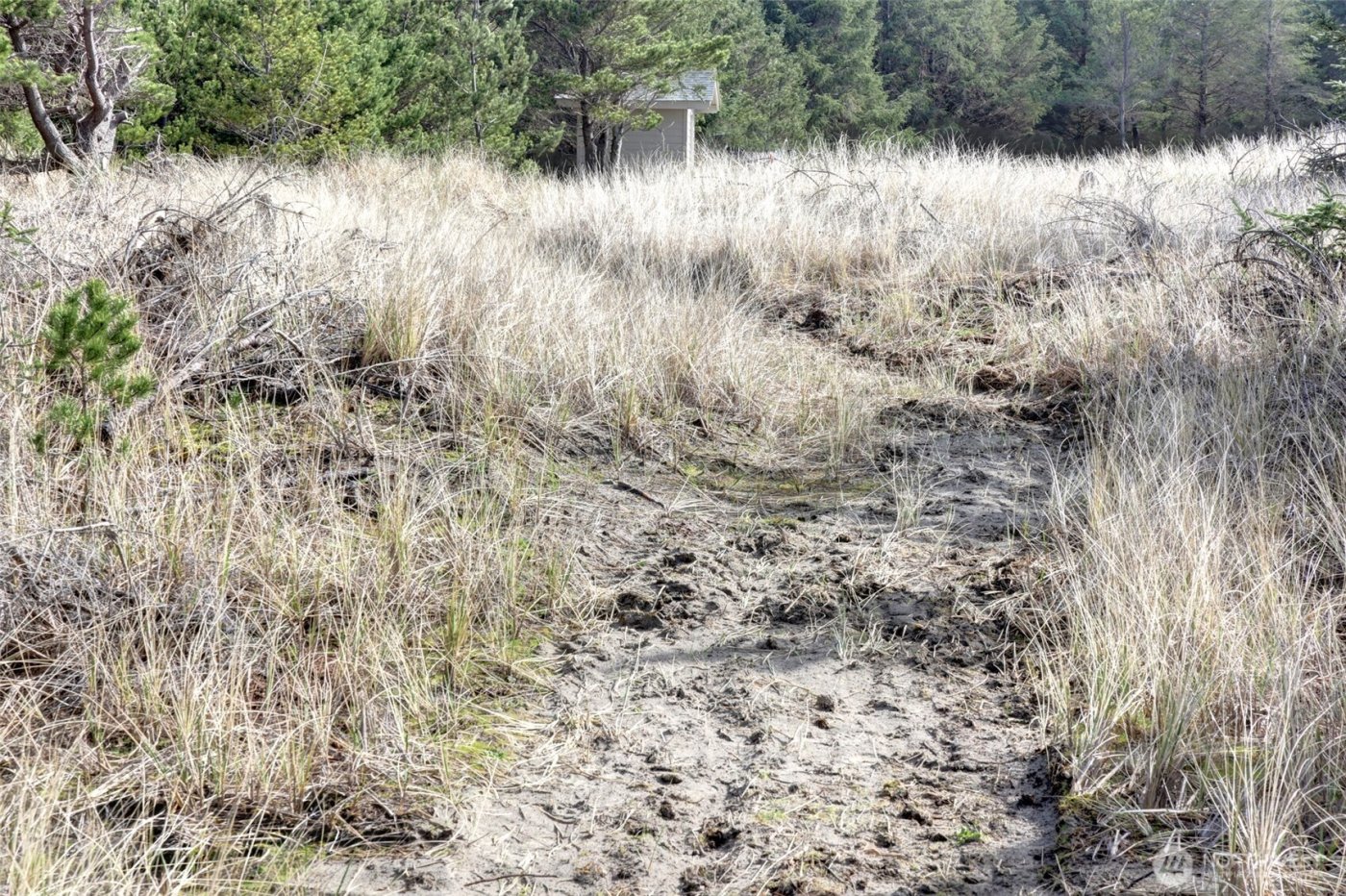 16151 Pacific Way , Long Beach, WA 98631