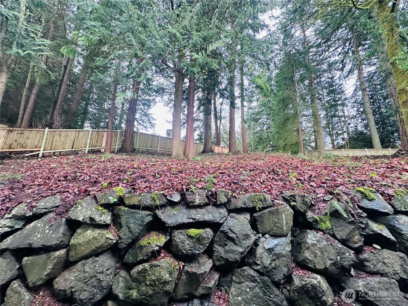 8828 238th St SW #D1, Edmonds, WA 98026