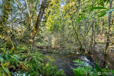 0 Libby Road NE, Olympia, WA 98506 - Photo 3