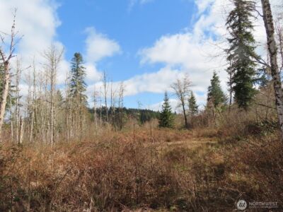 125 Oppelt Road , Chehalis, WA 98532