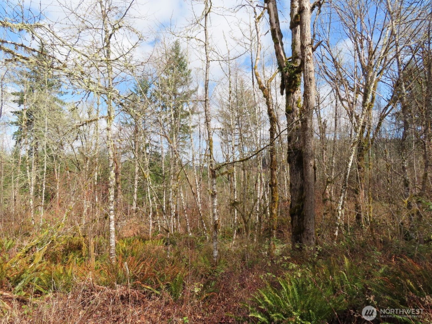 125 Oppelt Road , Chehalis, WA 98532