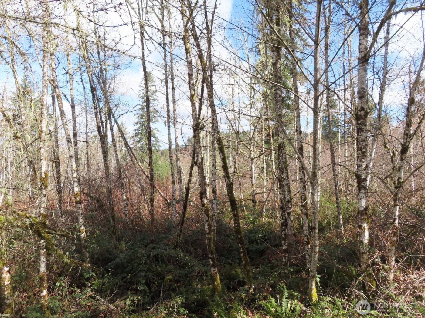 125 Oppelt Road , Chehalis, WA 98532