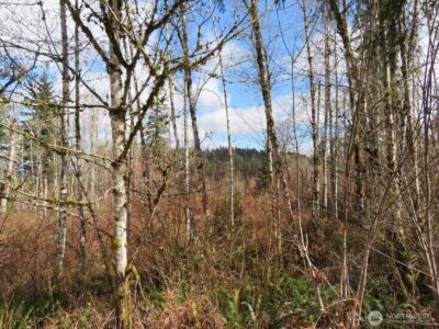 125 Oppelt Road , Chehalis, WA 98532 - Photo 12