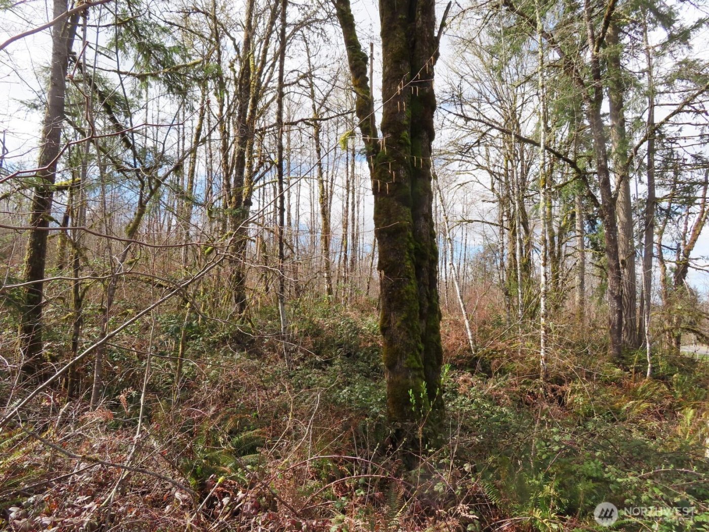 125 Oppelt Road , Chehalis, WA 98532