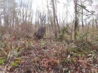 125 Oppelt Road , Chehalis, WA 98532 - Photo 14