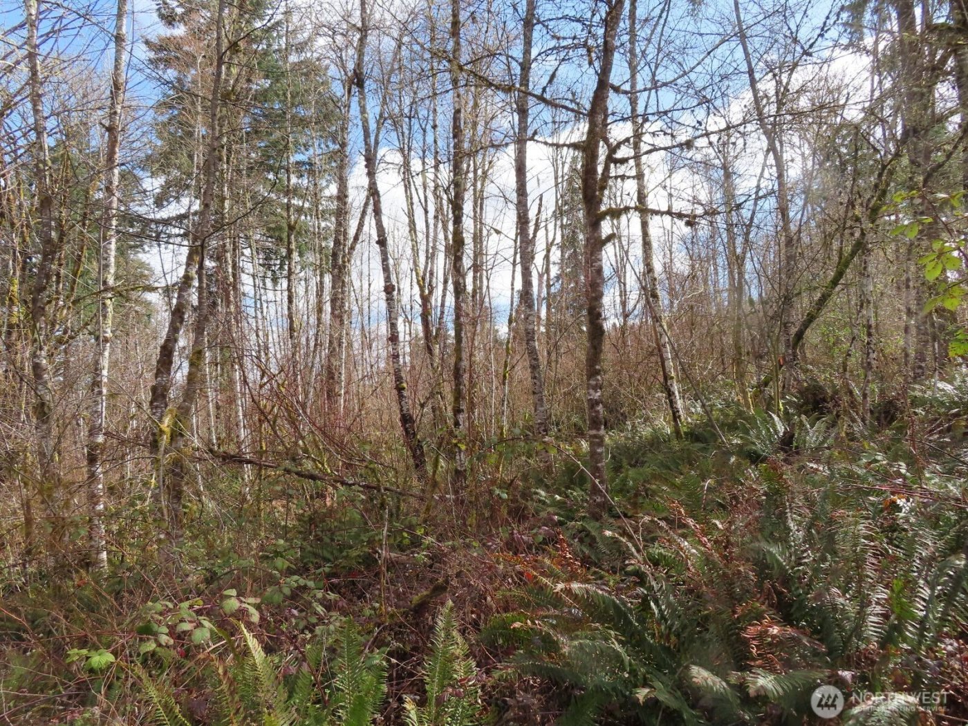 125 Oppelt Road , Chehalis, WA 98532