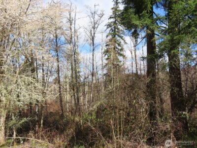 125 Oppelt Road , Chehalis, WA 98532 - Photo 17