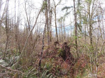 125 Oppelt Road , Chehalis, WA 98532 - Photo 18