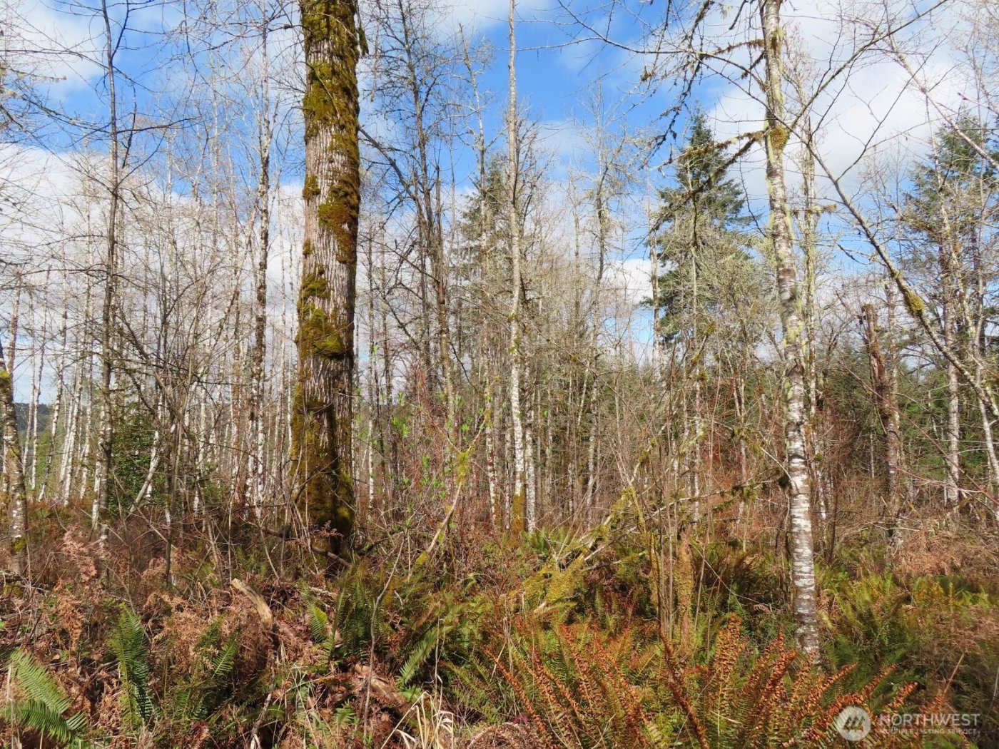 125 Oppelt Road , Chehalis, WA 98532