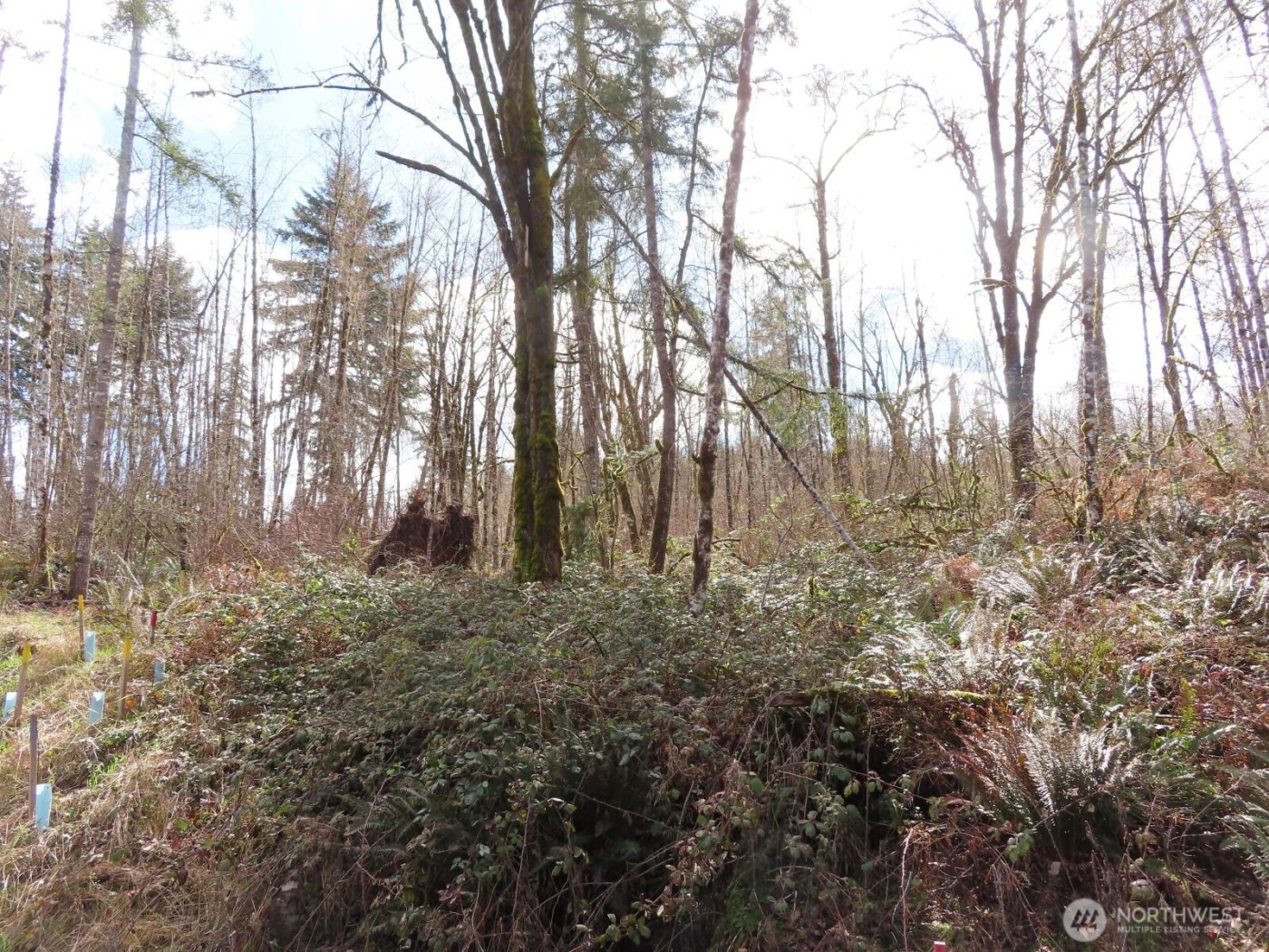 125 Oppelt Road , Chehalis, WA 98532